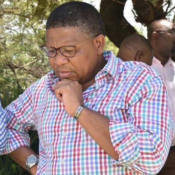 Fikile Mbalula Has The Perfect Solution For Kaizer Chiefs' Problems