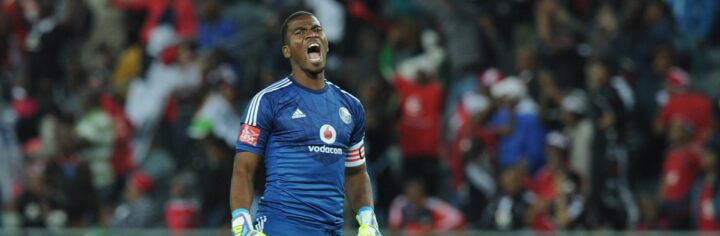 Senzo Meyiwa's Brother Believes That The True Murderer Is Being Protected By The Police!