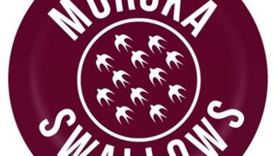 Moroka Swallows Officially Returns to the PSL!
