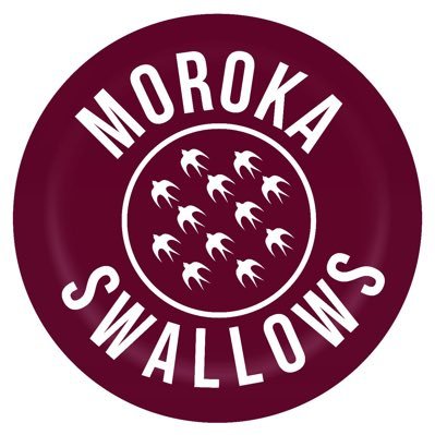 Moroka Swallows Officially Returns to the PSL!
